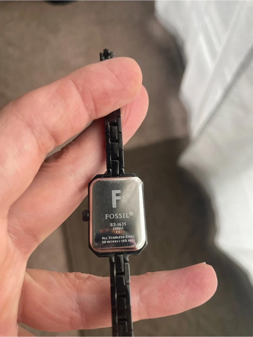 Fossil missing one